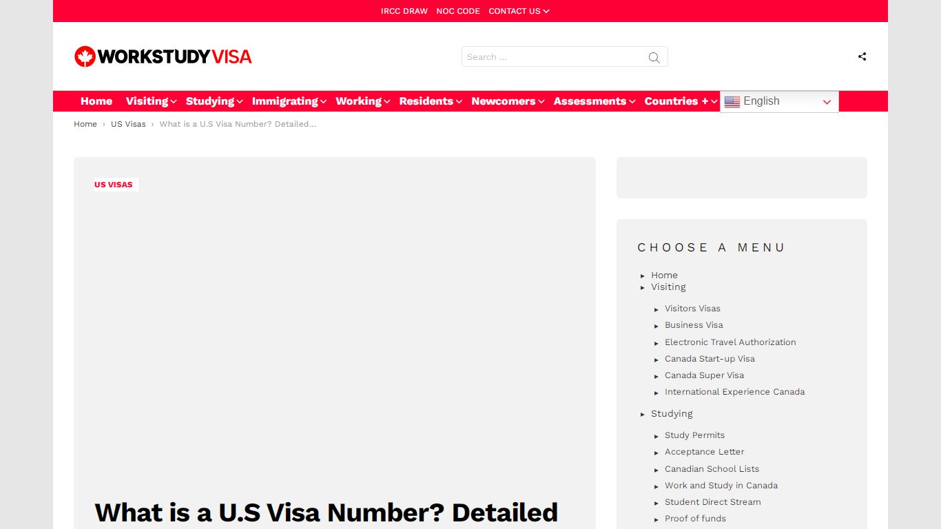 What is a U.S Visa Number? Detailed Answer - Work Study Visa